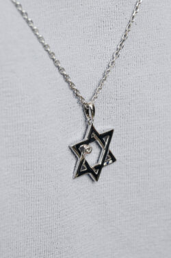 ⁦שרשרת עוצמת העם⁩ – תמונה ⁦6⁩