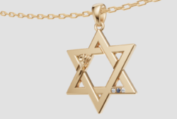 ⁦שרשרת עוצמת העם⁩ – תמונה ⁦4⁩